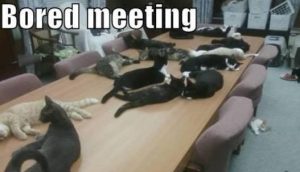 Why Is the Meeting About a Meeting Meme So Relatable?